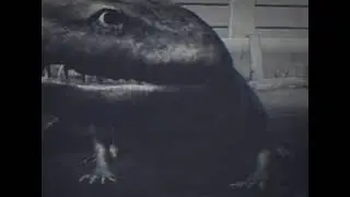 Koolasuchus