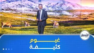 أحوال الطقس لـــيوم الجـــمعة 30 جانفي 2026 ⛈️🌧️