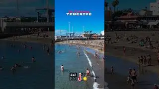 Тенерифе - Лос Кристианос - 30.12.2025 24&deg;C ☀️