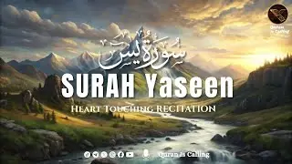 Most soothing recitation of Surah Yaseen سورة يس | Quran is Calling