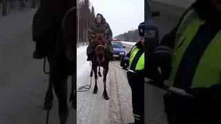2002 год, Россия: бабка Никифоровна верхом на лосе и остановка ДПС &mdash; редкое видео #shorts