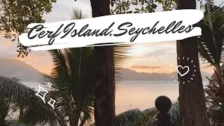 A day on Cerf Island 🏝 | Seychelles 🇸🇨