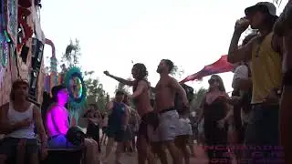 She likes to dance - Wild Horses 2024 - australia