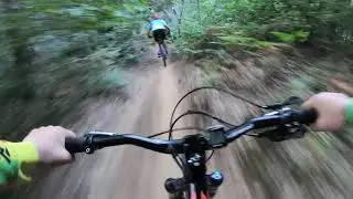 Jungle flow mtb trail baia mare HQ