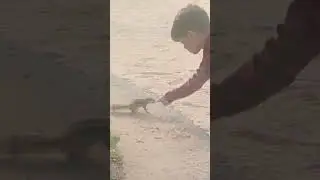 #part1 🐿🐿#goviral #song #dailyshorts #trendingnow #trendingsong #qutubminar #delhi #park #squirrel