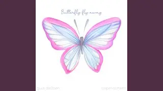 Butterfly Fly Away (acoustic instrumental)