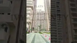 Flats available for Sale & Rent in Ivy County sector 75 Noida #ivycounty #countygroup