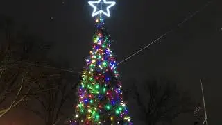 Bronx Little Italy 2020 Christmas Tree Lighting