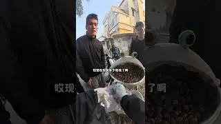 One day Qizi selling salt-baked quail eggs at a stall in Foshan in 1998#vlog Daily