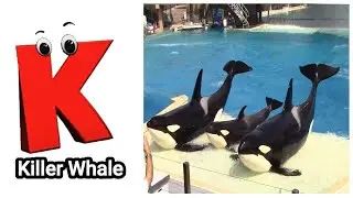 ABC Video for Toddlers | A to Z Alphabet with Sea Animals | Kids Learning Song
