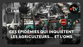 Ces épidémies qui inquiètent les agriculteurs... et l'OMS  -  C dans l’air - 15.12.2025