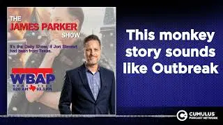 This monkey story sounds like Outbreak