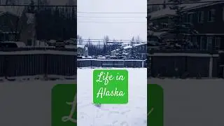 Alaska | northern America's coldest state #alaska #usa #northamerica #travel #snow #viralvideo #fyp