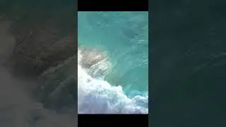 Цитата дня #cute #waves #film #фильм #movie #кино