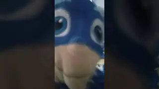 Meet cat boy and sonic