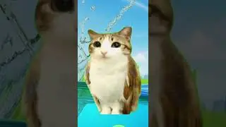Meowl just joined 🙈 #meowl #meme #trending #fyp