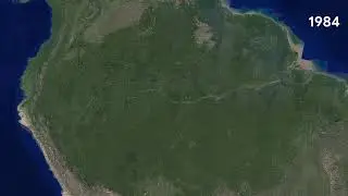 Amazon Rainforest, Brazil