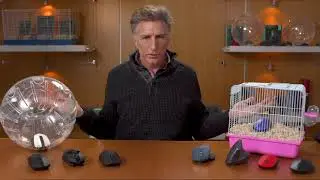 Goodbye wireless mouse, hello hamster.