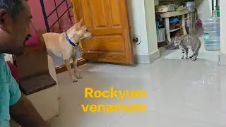 Evargalin oru nal settaigalai parungal