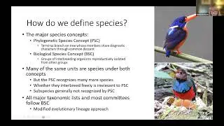 February 2025 Speaker Series: Avian Taxonomy Updates with Pam Rasmussen