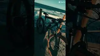 Nova tsw Stamina 2024