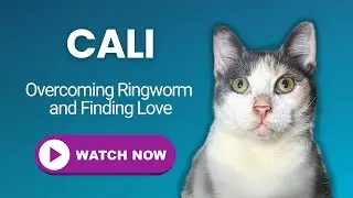 Overcoming Ringworm and Finding Love | Cali | Giving Tuesday 2024