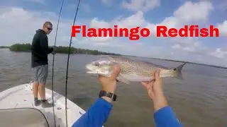 Everglades National Park - Fishing FLAMINGO!! Ep82