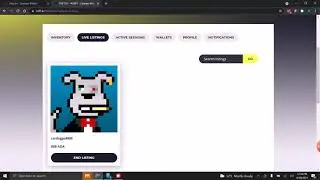 Crucial step before using CNFT.io (AdaLite Wallet)