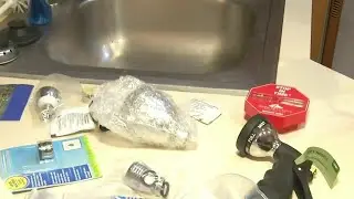 What you can do to help Florida's water situation