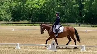 2022 Isabel F de Szinay Memorial Dressage Show  Irish Belle and Lisa OBrien