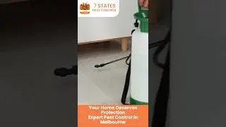Top-Rated Pest Control in Melbourne &ndash; Safe, Fast & Affordable