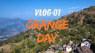 Orange 🍊 Plucking Day - VLOG01 - सुन्तला टिप्ने दिन