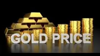Gold Prices Soar to $3,005  South Africa's Economic Crisis  Diplomatic Tensions with US  Daily Inves