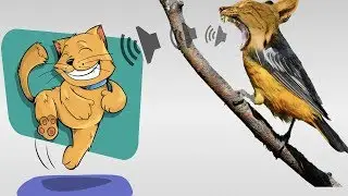Bird Sound To Attract Cats  ✅