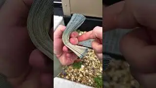 Geldscheine z&auml;hlen Tutorial #money #berlin #viralvideo #cash #moneytok