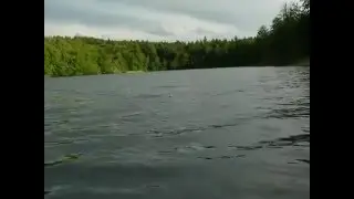 Paddeln auf dem Kellersee und dem Eutiner See