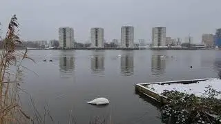 Southmere Lake + Redevelopment