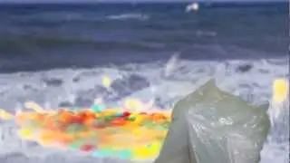 Plastic Bag Song