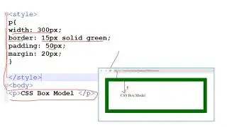 CSS Box Model