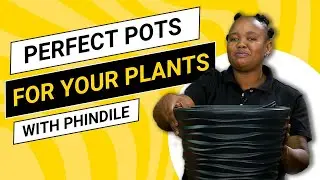 Potted Statements: Pairing Feature Pots with Signature Plant