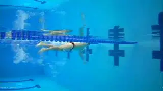 Freestyle Swimming with Turn | Technique & Timing Review (TDC)