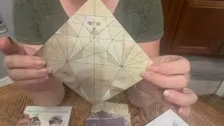 Honest Review Origami Paper Cats Kit.mp4