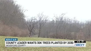 Kentucky county launches project to plant 30,000 trees by 2030