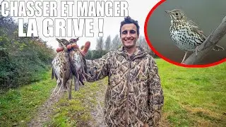 Chasser et Manger la GRIVE !