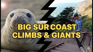ИССЛЕДОВАНИЕ БИГ-СУР: морские слоны, ядовитый дуб и скрытые водопады 🌊🏔️
