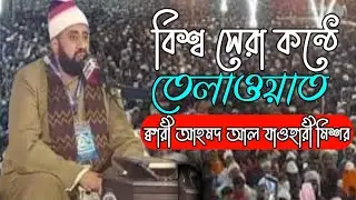 মাশাআল্লাহ বিশ্ব সেরা কন্ঠে অসাধারণ তেলাওয়াত || best emotional Quran Tilawat || new Quran telawat ||