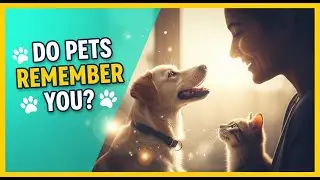 Do Pets Remember the People They Love