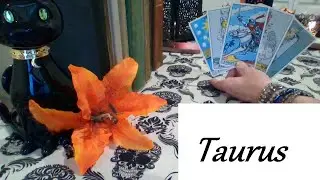 Телец ❤ МОМЕНТ, КОГДА ВЫ ЗАСТУПИЛИ В УДИВИТЕЛЬНОСТЬ Телец СКРЫТАЯ ПРАВДА Сейчас - 11 октября #Тел...