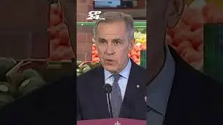 &lsquo;You can&rsquo;t draw that conclusion at all&rsquo;: PM Carney on potential Spring election