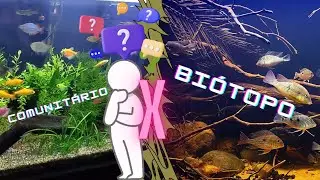 Aqu&aacute;rio bi&oacute;topo ou comunit&aacute;rio, qual a diferen&ccedil;a? (EP.41)